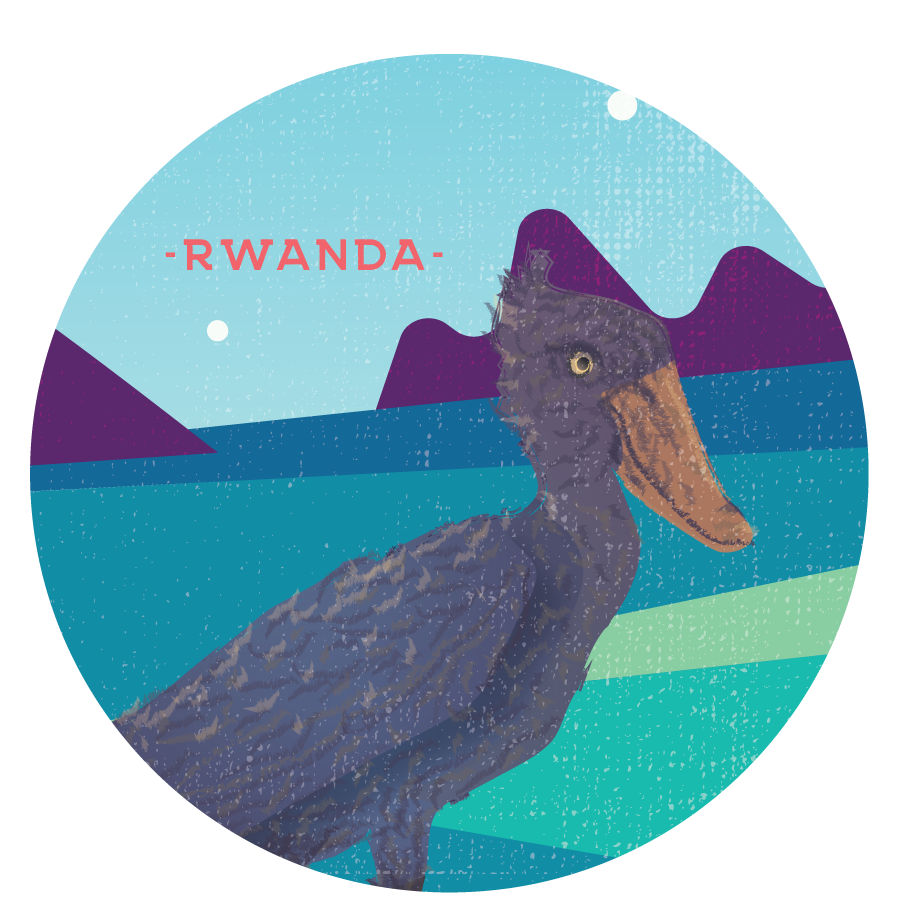 Baristocracy Coffee - Rwanda Single Origin