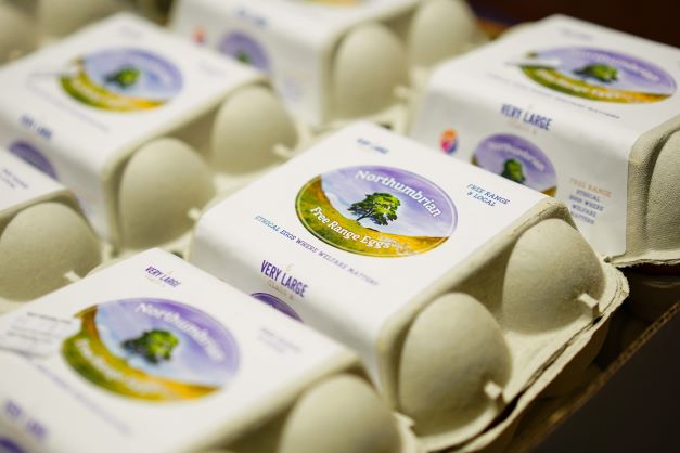 A Dozen Free Range Eggs