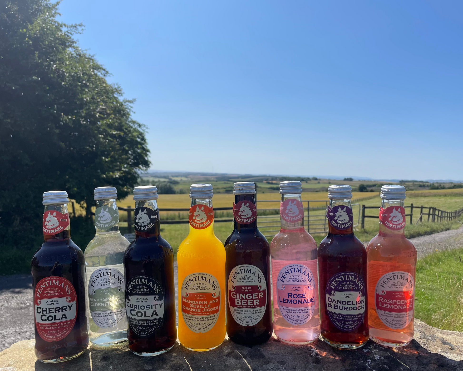 Eight bottles of Fentiman's fruit soda and ginger beer arranged in a row outdoors on a stone surface, with a green field and blue sky in the background. The bottles include Cherry Cola, Curiosity Cola, Gently Sparkling Elderflower, Mandarin Orange Jigger, Ginger Beer, Rose Lemonade, Dandelion & Burdock, and Raspberry Lemonade.
