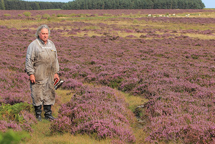 Tweeside Heather Comb Honey