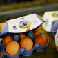 A Dozen Free Range Eggs