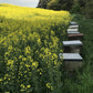 Tweedside Honey