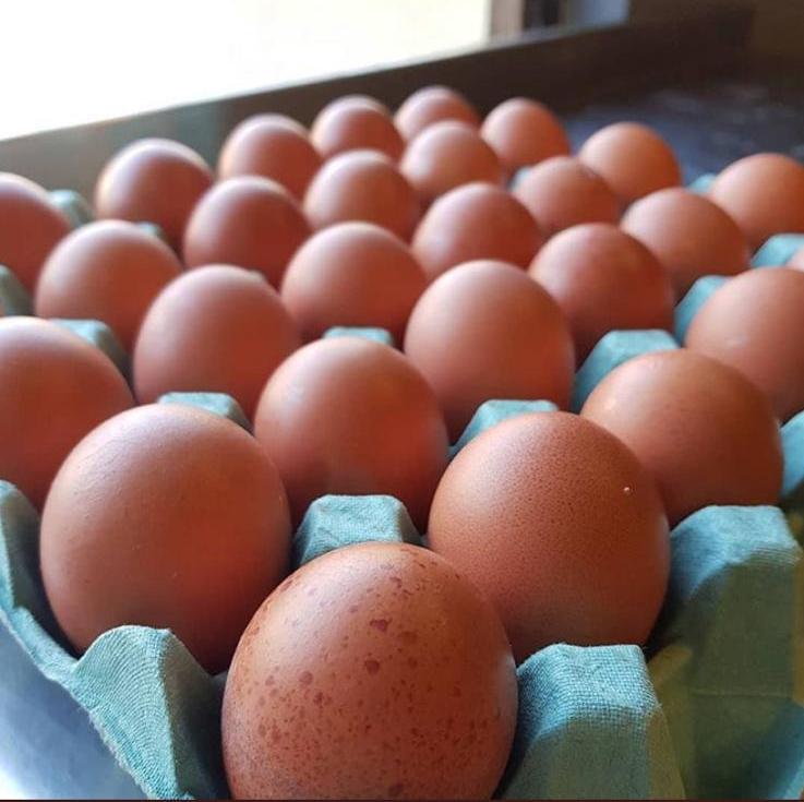 Eggs & Fruit Box